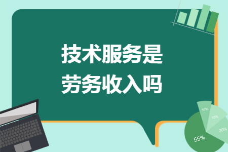 技術(shù)服務(wù)是勞務(wù)收入嗎——以信息技術(shù)咨詢服務(wù)為例的深度探討